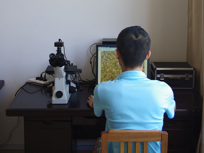 倒置金相显微镜